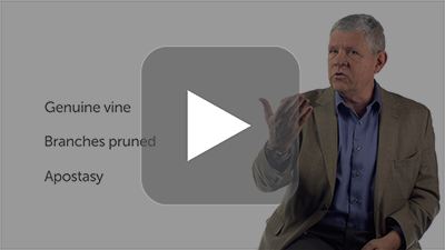 The Vine and the Branches