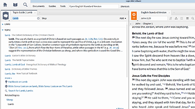 Filtering a Bible to Display Only Verses on a Specific Topic