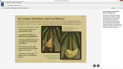 Using Media Search to Find Information about Wineskins
