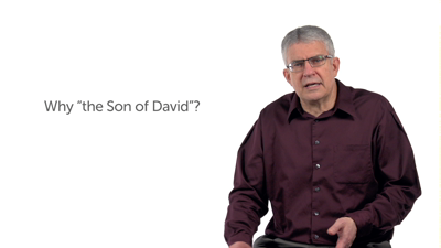 Son of David and the Sign of Jonah (Matt 12:22–42)