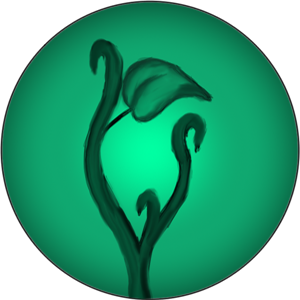 Video placeholder