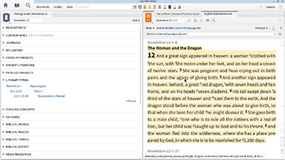 Searching for Different Literary Types in the Bible