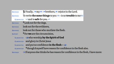 Homiletical Summary (Phil 3:1–11)
