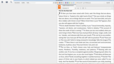 Examining Paul’s Use of First Class Conditional Statements