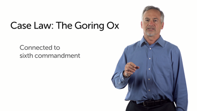 Case Law: The Goring Ox