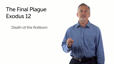 The Final Plague