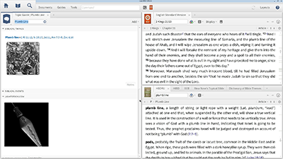 Searching for Images of a Plumb Line