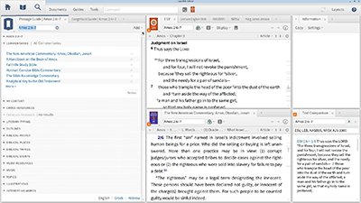 Custom Collections of Amos Commentaries