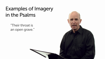 Imagery Used in the Psalms