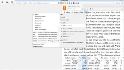 Using Hebrew Lexicons to Define Important Terms