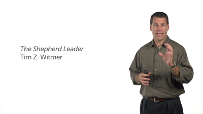 Shepherd Leadership