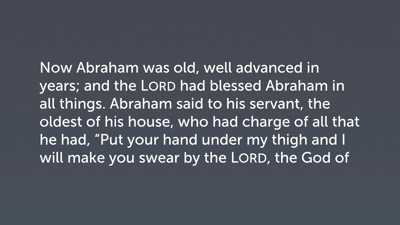 Examples of Stewardship