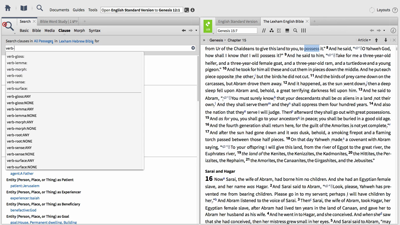 Learning about Land Inheritance with Morphology Search and Bible Word Study