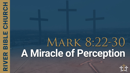 Mark 8:22-30 | A Miracle of Perception
