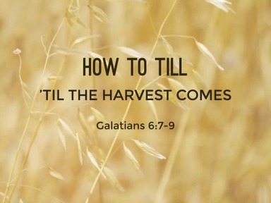 How to Till 'Til the harvest comes