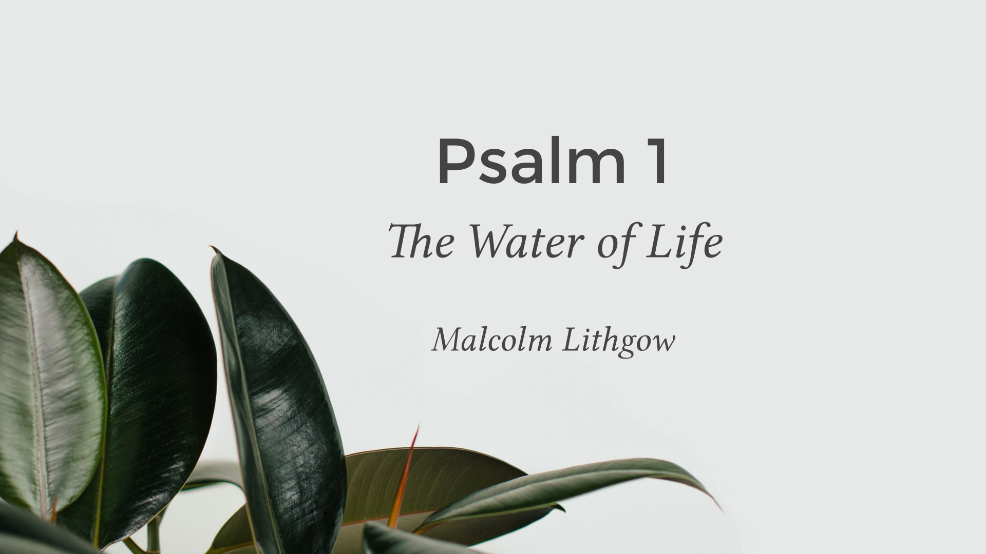 psalm-1-the-water-of-life-faithlife-sermons