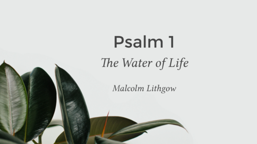 Psalm 1 - The Water of Life