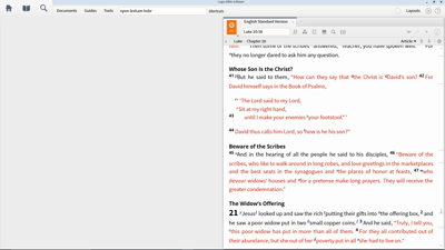 Reading for Structure and Genre
