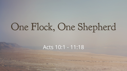 One Flock, One Shepherd