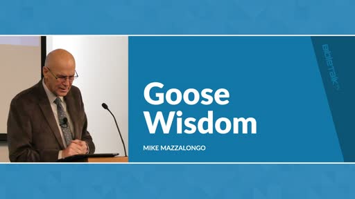 Goose Wisdom