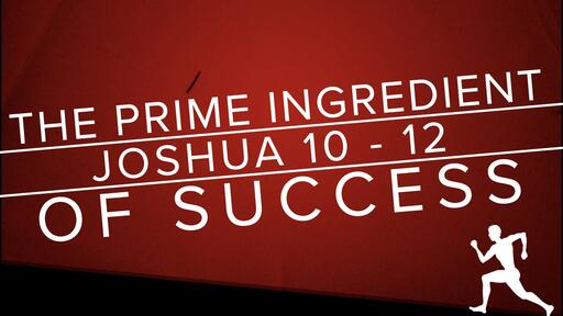 The Prime Ingredient of Success