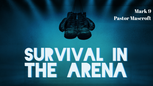 Survival in the Arena 