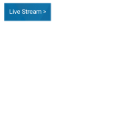Live Stream Link