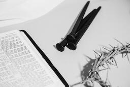 Crown of Thorns, Nails and Bible  image 6
