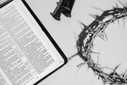 Crown of Thorns, Nails and Bible  image 7