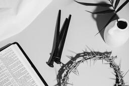 Crown of Thorns, Nails and Bible  image 4