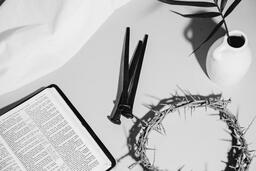 Crown of Thorns, Nails and Bible  image 1