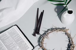 Crown of Thorns with Nails and Bible  image 2