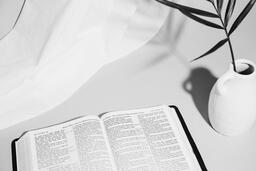 Bible and Palm Branch  image 1