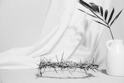 Crown of Thorns on Table  image 3