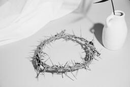 Crown of Thorns on Table  image 1