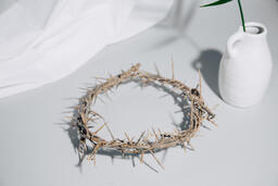 Crown of Thorns with Palm Branch  image 1