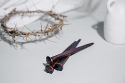 Crown of Thorns with Palm Branch  image 4