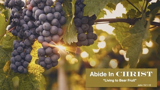 "Abide in Christ: Living to Bear Fruit" (by Kevin Jourdan)