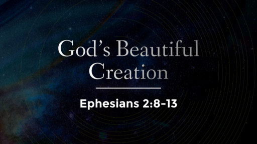 God's Beautiful Creation