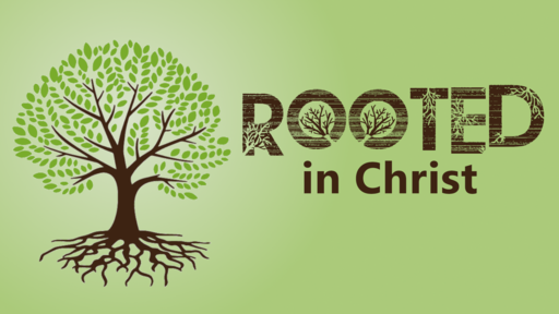 A Rooted Church