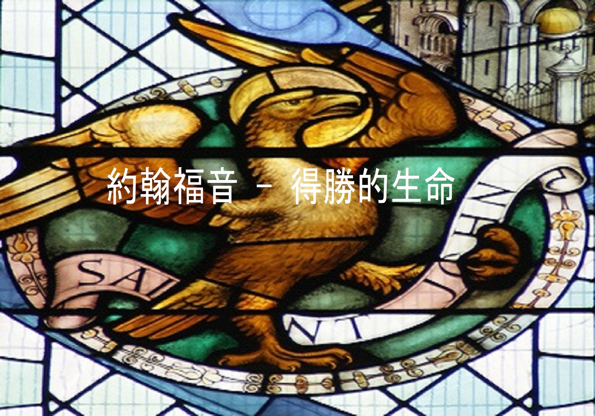 神的兒女 - Logos Sermons