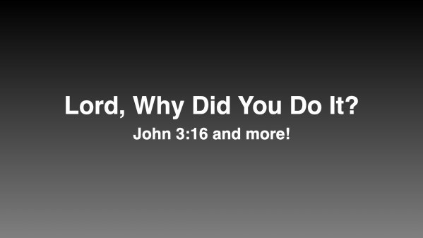 Lord, Why Did You Do It? - Logos Sermons