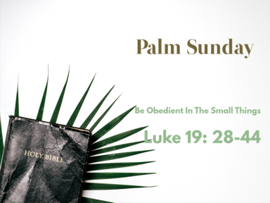 Palm Sunday (2)