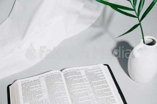 Open Bible with Plant