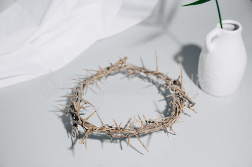 Crown of Thorns with Palm Branch