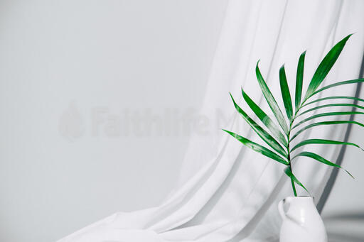 Palm Branch in Vase