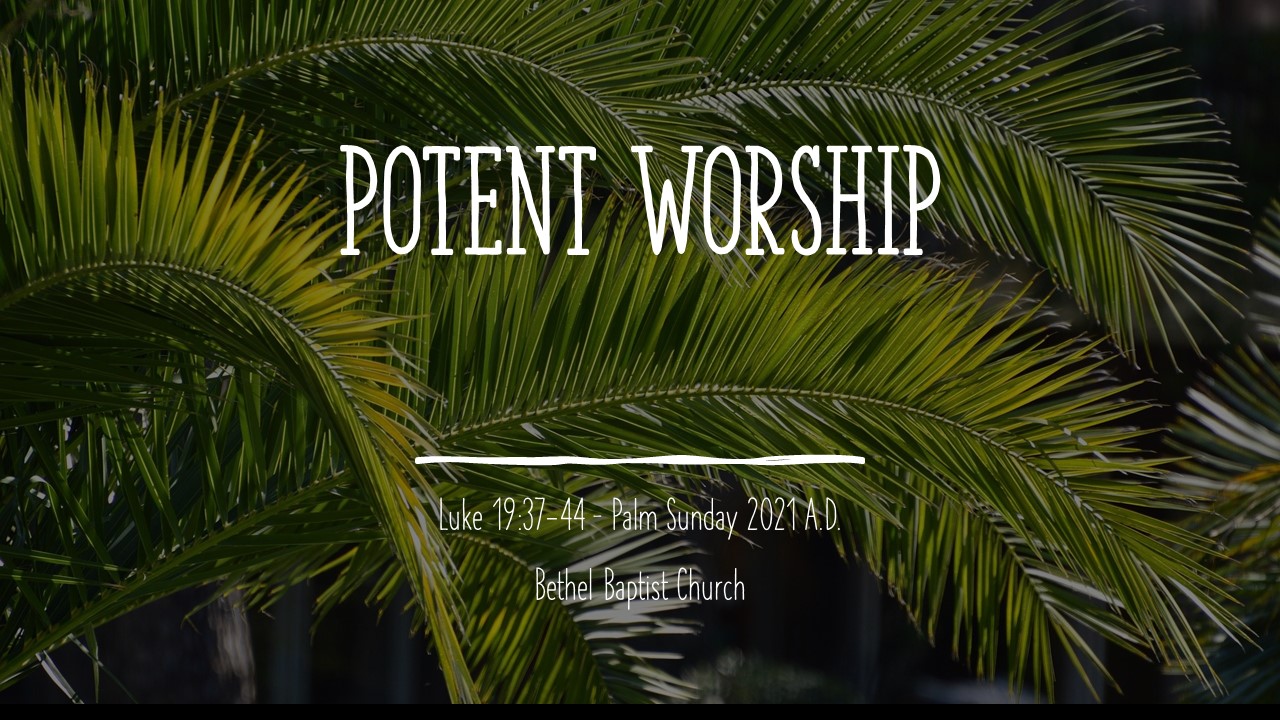 luke-19-37-44-potent-worship-faithlife-sermons
