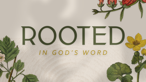 Building a Relationship With God: Rooted in God's Word