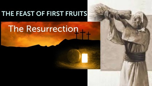 The Feast Of First Fruits