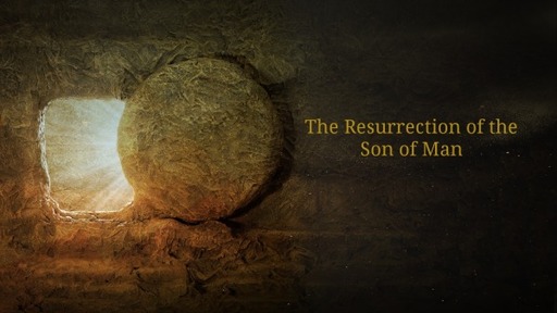 The Resurrection of the Son of Man